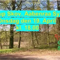 Åben orienteringstræning. (Deltag gratis) Vælg mellem lette, mellem eller svære baner. Løb 3-7 km.