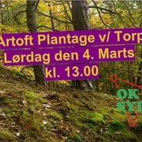 Åben orienteringstræning. (Deltag gratis) Vælg mellem lette, mellem eller svære baner. Løb 3-7 km.