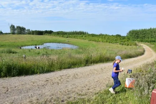 Åbent O-løb i Elmelund Skov