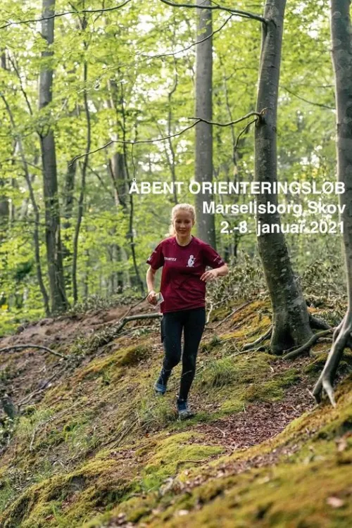 Åbent orienteringsløb i Marselisborg Skov - For alle!