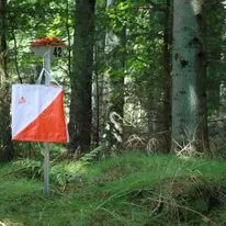 Mellemdistance træning i Boserup skov