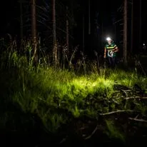 Natløbsorientering i Palsgård Skov