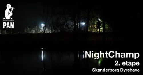 NightChamp 2. Etape - Natorienteringsløb i Østjylland