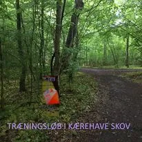 Tirsdagstræning i Kærehave skov