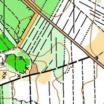 Træningsløb for alle i Skelhøj Plantage