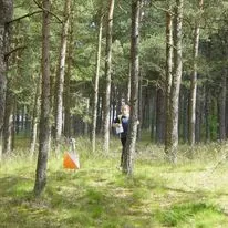 Træningsløb O løb Katholm skov på Djursland. Alle er velkommen