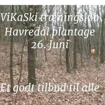 ViKaSki træningsløb 26. juni i Havredal plantage