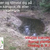 ViKaSki træningsløb i Sjørup plantage- Åbent for alle