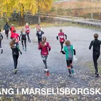 Vinterlang i Marselisborgskoven
